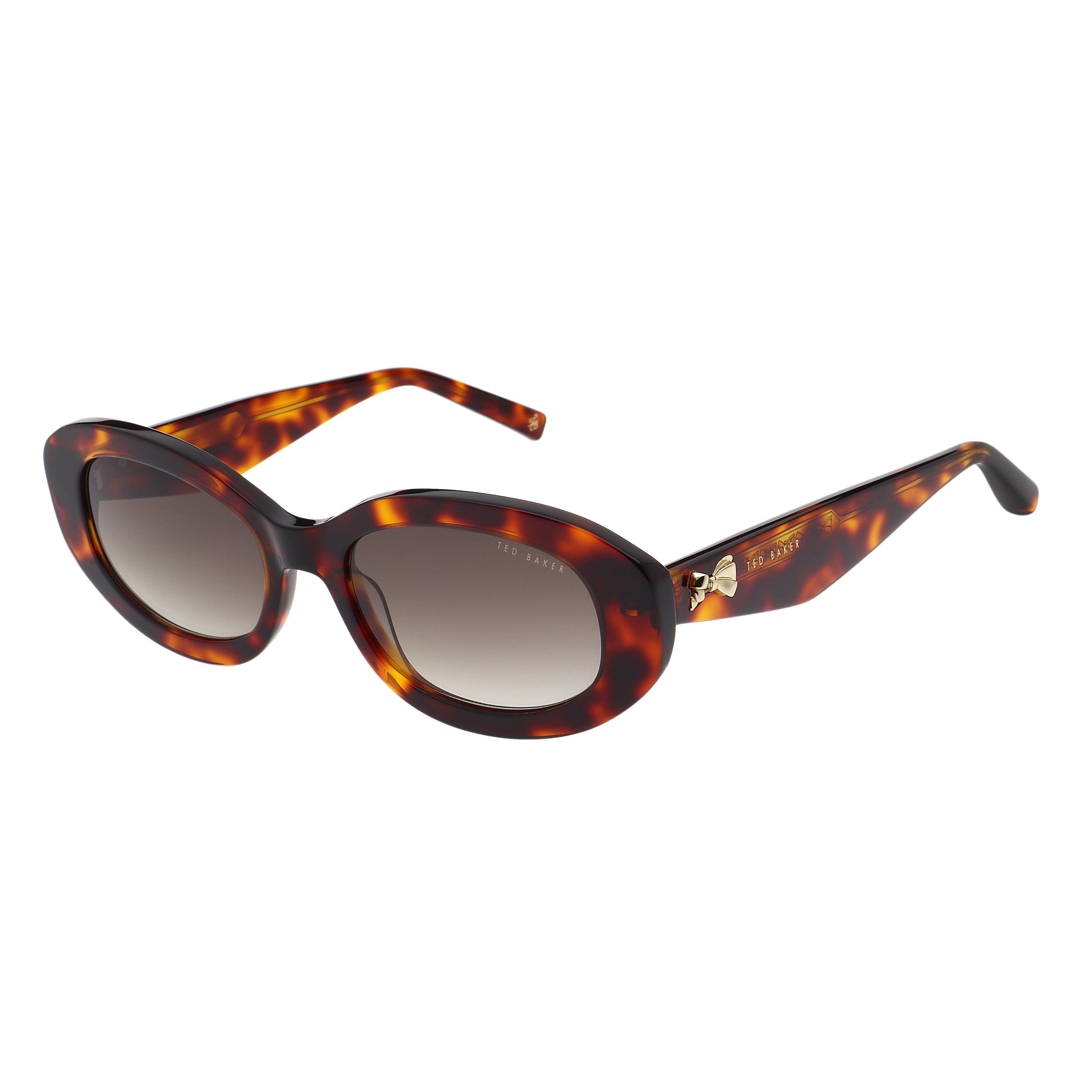 Daisie Sunglasses Gloss Classic Brown