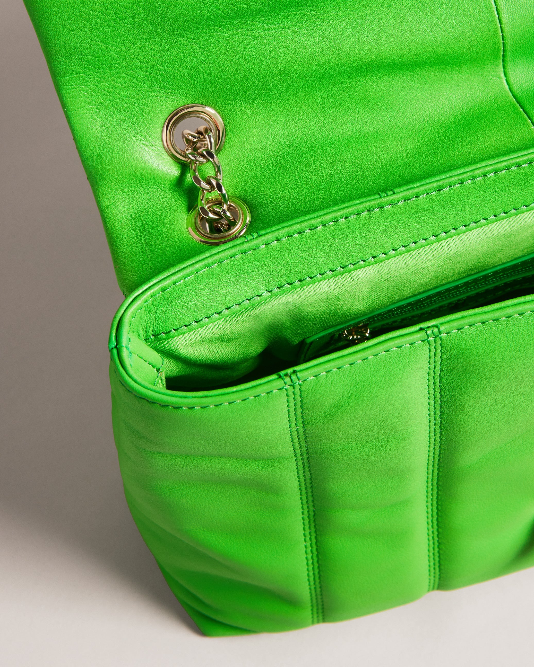 Buy Ted Baker Women Light Green Brush Strokes PU Shoulder Bag for Women  Online | The Collective